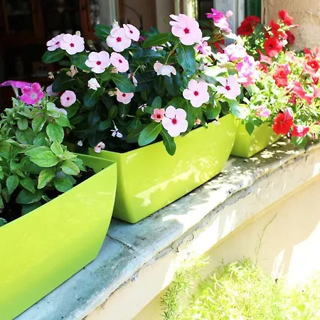 Il Giardino Di Laura Private Guest house *